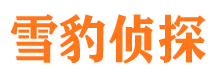 大宁捉小三公司